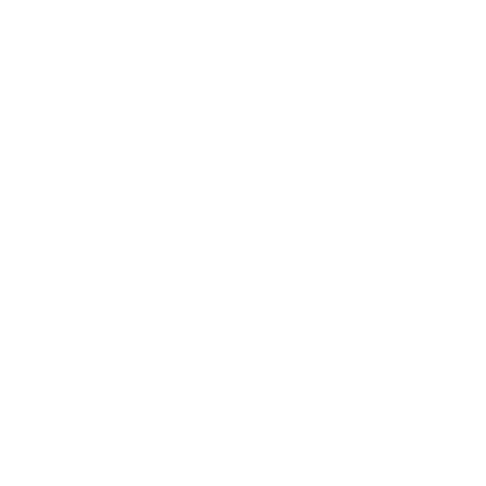 Website Development